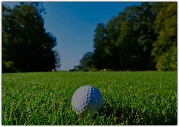 Golf ball sitting on the grass
